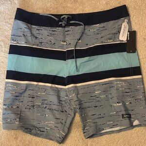 Dakine Men's Blue and Gray Striped Board Shorts